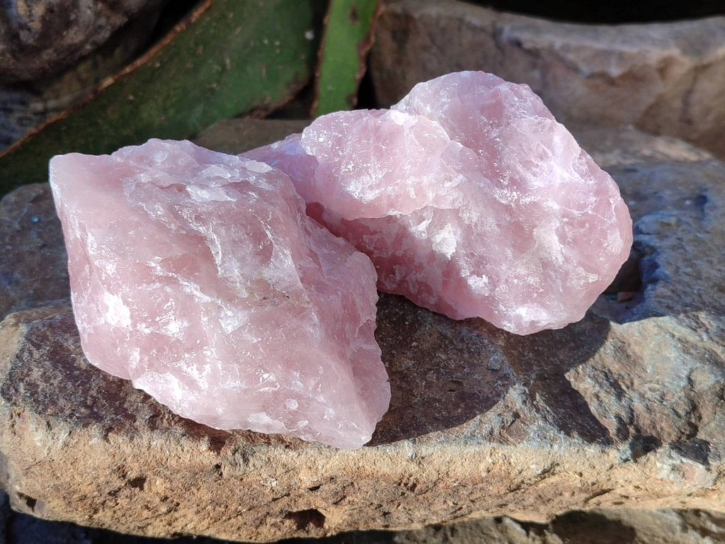 Natural Pink Rose Quartz Cobbed Specimens x 12 From North Cape, South Africa - Toprock Gemstones and Minerals 