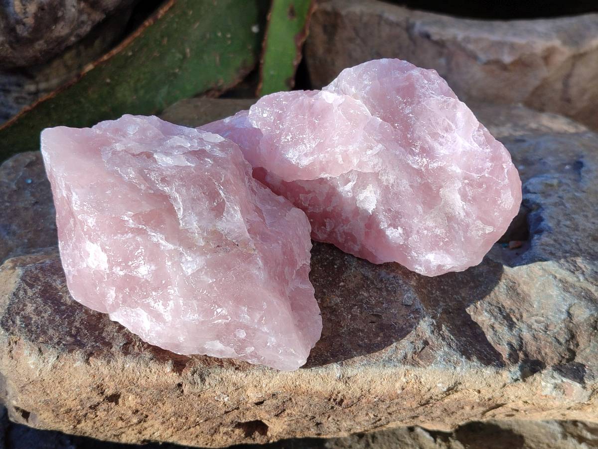 Natural Pink Rose Quartz Cobbed Specimens x 12 From North Cape, South Africa - Toprock Gemstones and Minerals 