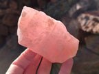 Natural Pink Rose Quartz Cobbed Specimens x 12 From North Cape, South Africa - Toprock Gemstones and Minerals 