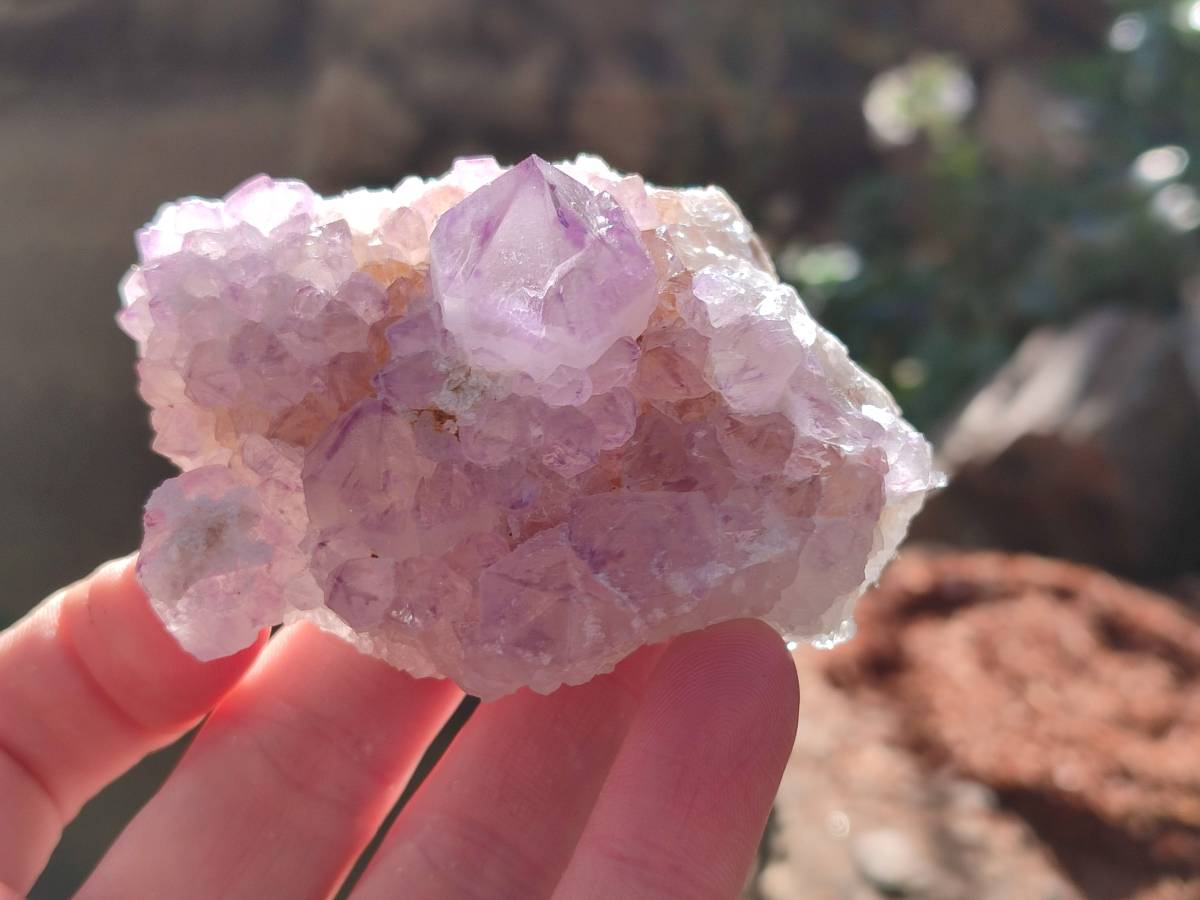 Natural Sunburst Amethyst Spirit Quartz Clusters x 6 From Boekenhouthoek, South Africa - Toprock Gemstones and Minerals 