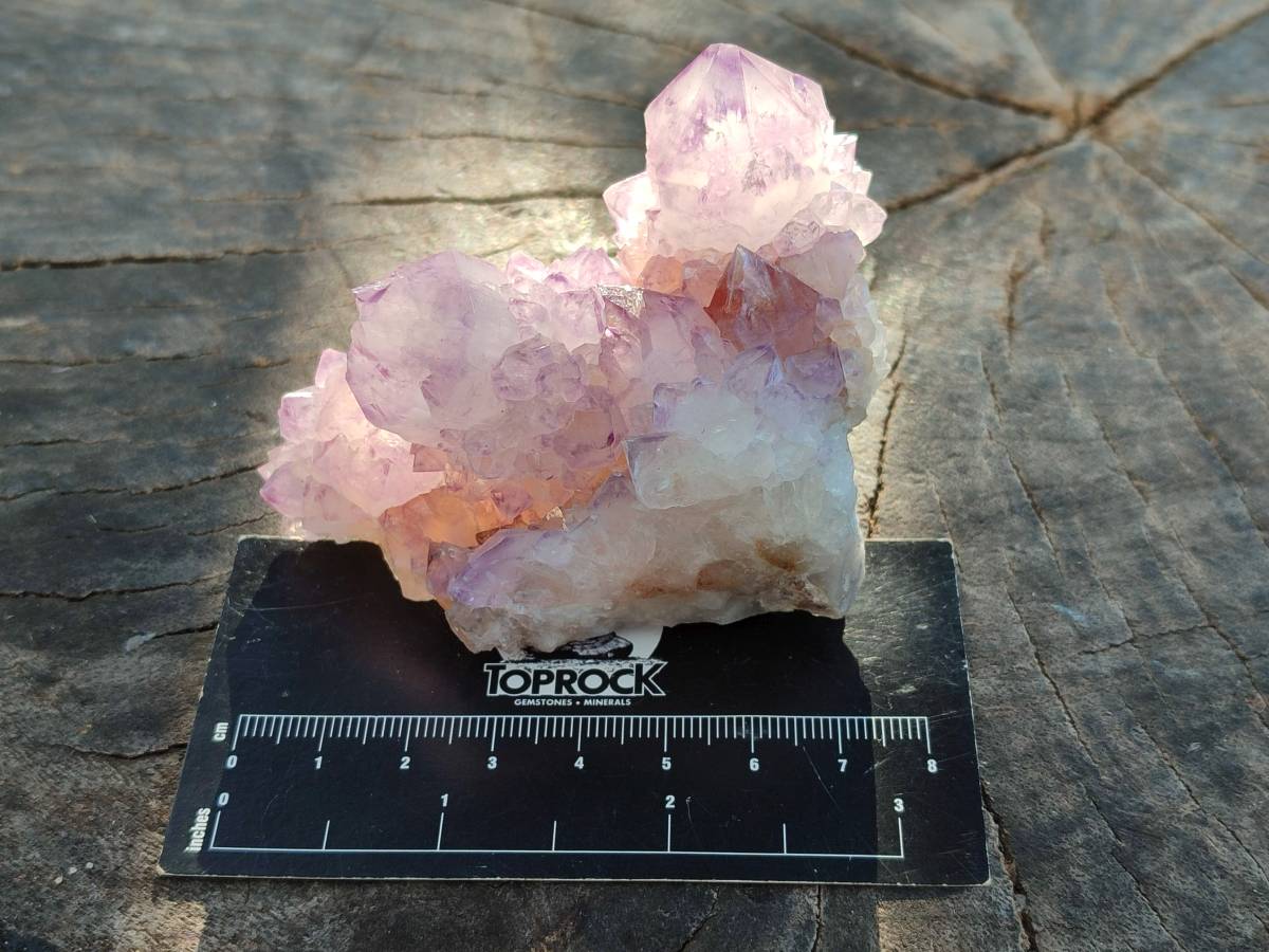 Natural Sunburst Amethyst Spirit Quartz Clusters x 6 From Boekenhouthoek, South Africa - Toprock Gemstones and Minerals 