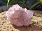 Natural Sunburst Amethyst Spirit Quartz Clusters x 6 From Boekenhouthoek, South Africa - Toprock Gemstones and Minerals 