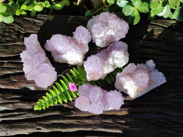 Natural Sunburst Amethyst Spirit Quartz Clusters x 6 From Boekenhouthoek, South Africa