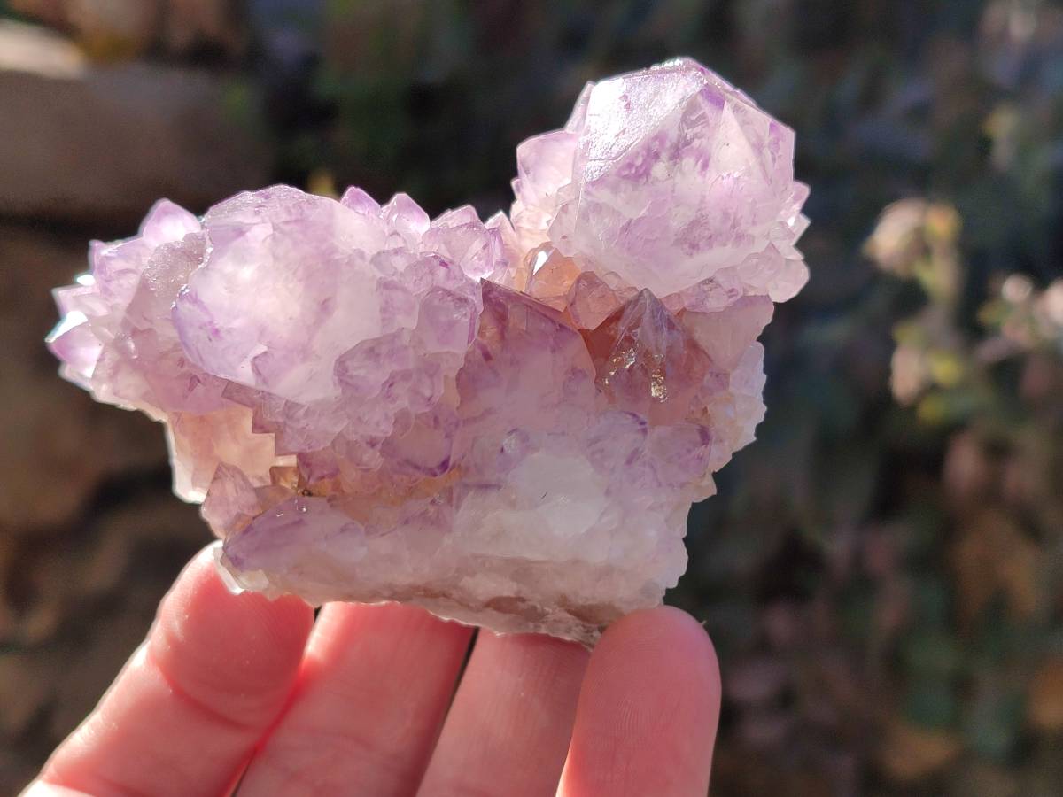 Natural Sunburst Amethyst Spirit Quartz Clusters x 6 From Boekenhouthoek, South Africa - Toprock Gemstones and Minerals 
