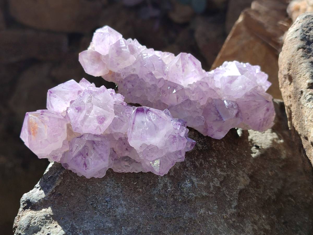 Natural Sunburst Amethyst Spirit Quartz Clusters x 6 From Boekenhouthoek, South Africa - Toprock Gemstones and Minerals 