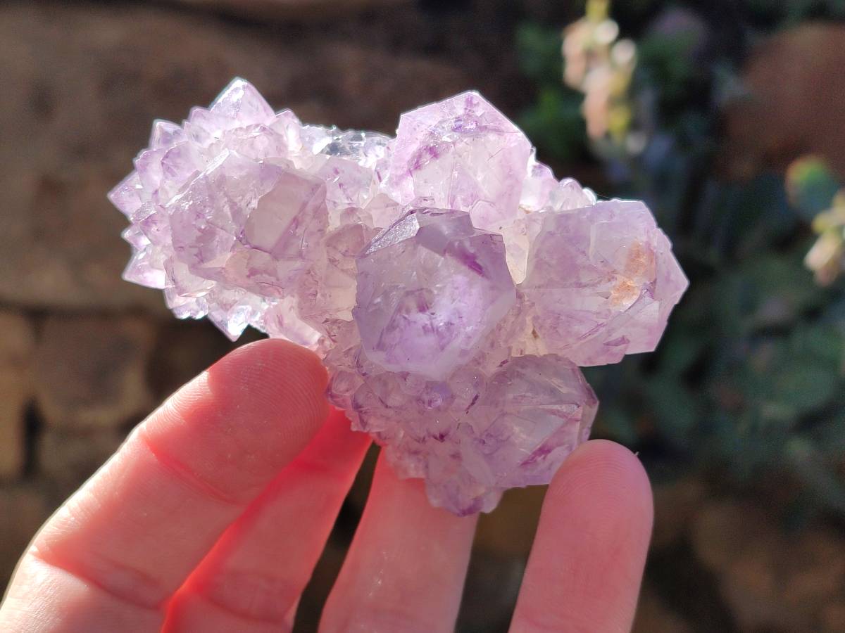 Natural Sunburst Amethyst Spirit Quartz Clusters x 6 From Boekenhouthoek, South Africa - Toprock Gemstones and Minerals 