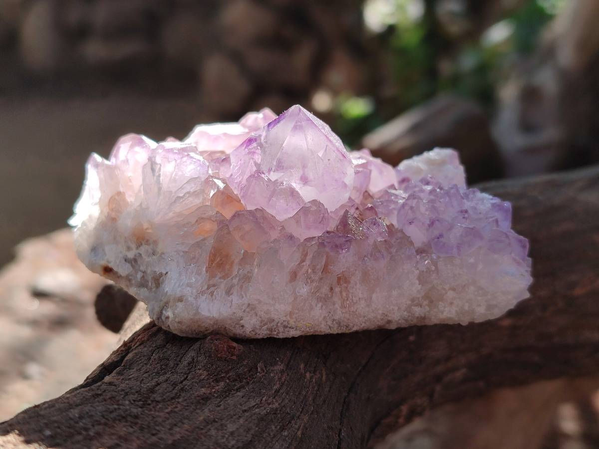 Natural Sunburst Amethyst Spirit Quartz Clusters x 6 From Boekenhouthoek, South Africa - Toprock Gemstones and Minerals 