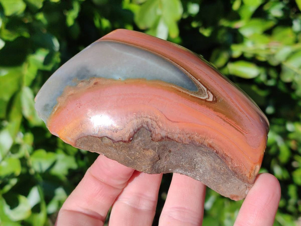 Polished On One Side Polychrome Jasper x 7 From Mahajanga, Madagascar - Toprock Gemstones and Minerals 