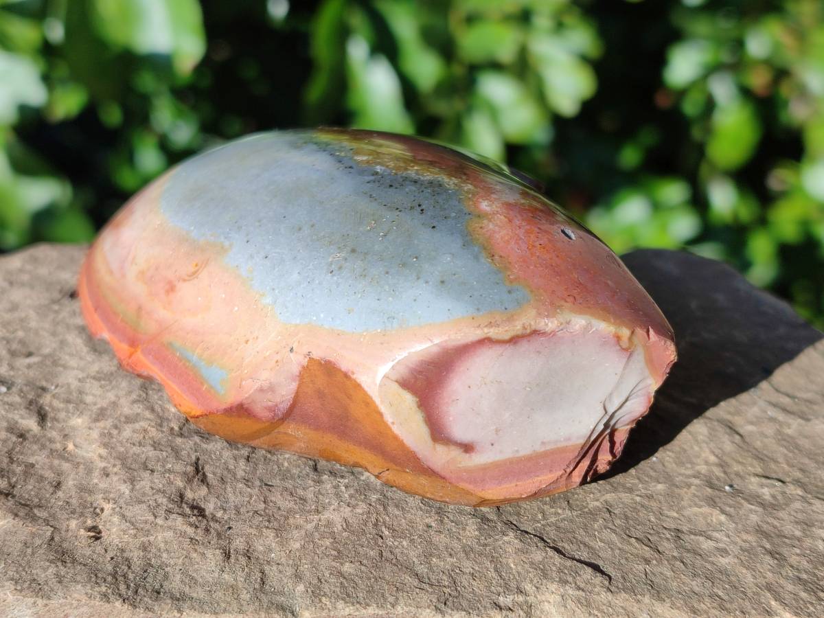 Polished On One Side Polychrome Jasper x 7 From Mahajanga, Madagascar - Toprock Gemstones and Minerals 