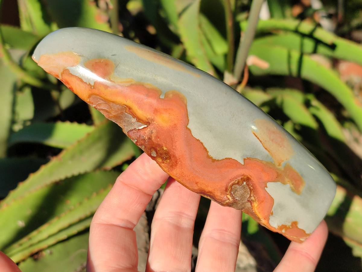 Polished On One Side Polychrome Jasper x 7 From Mahajanga, Madagascar - Toprock Gemstones and Minerals 