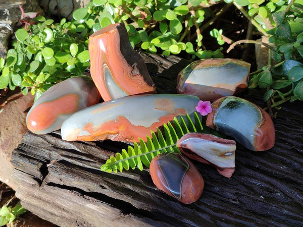 Polished On One Side Polychrome Jasper x 7 From Mahajanga, Madagascar