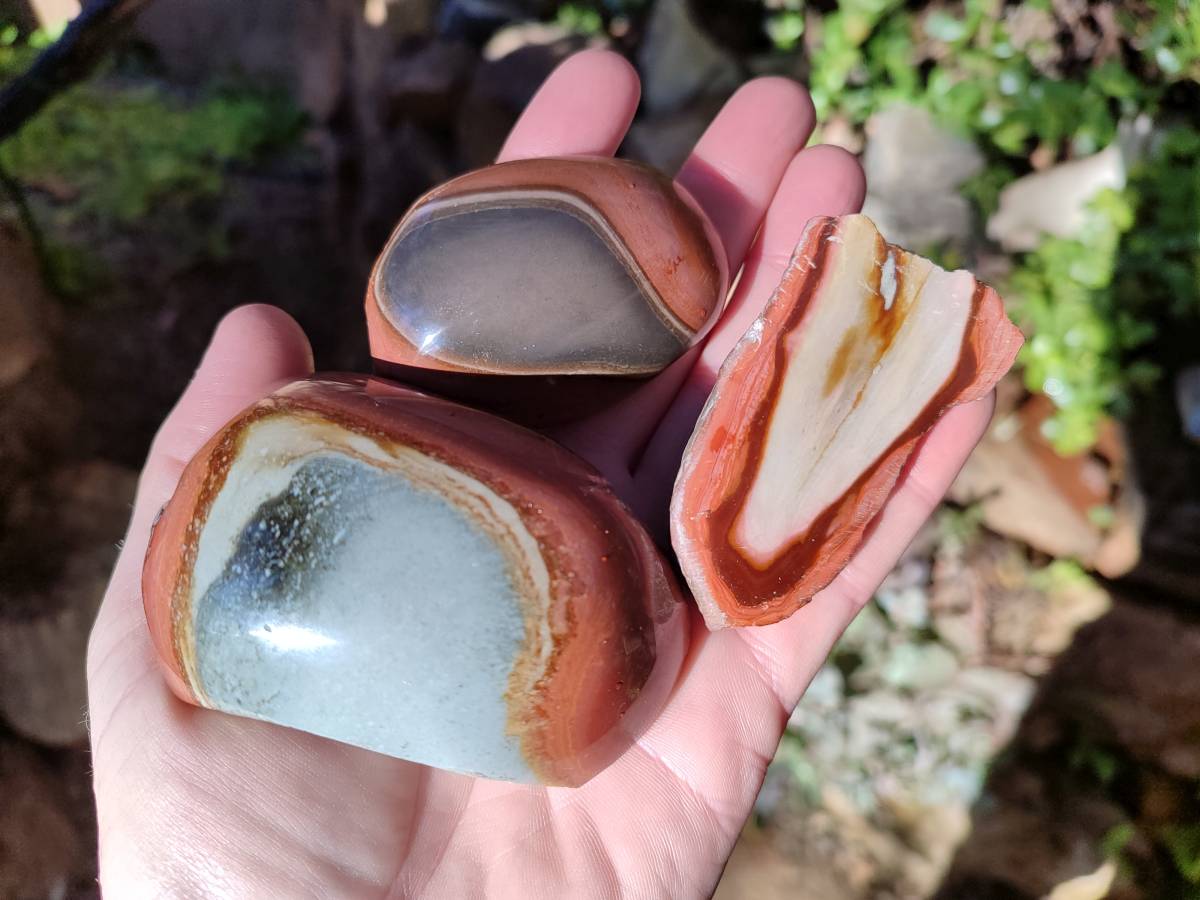 Polished On One Side Polychrome Jasper x 7 From Mahajanga, Madagascar - Toprock Gemstones and Minerals 