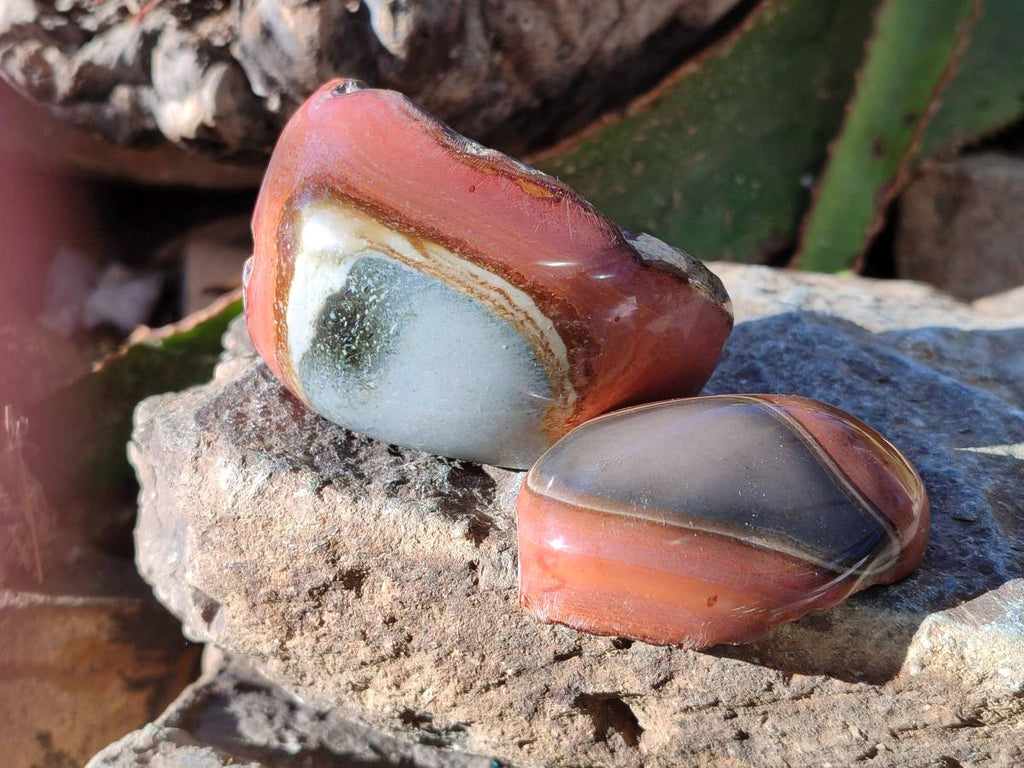 Polished On One Side Polychrome Jasper x 7 From Mahajanga, Madagascar - Toprock Gemstones and Minerals 