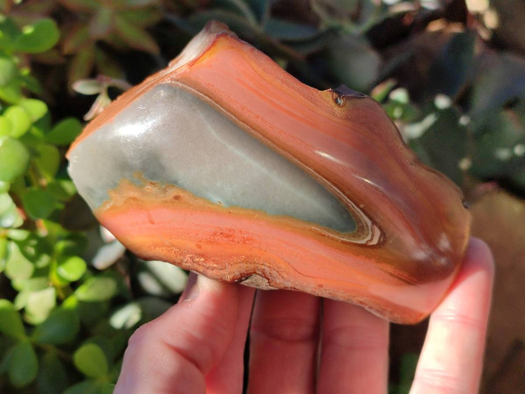 Polished On One Side Polychrome Jasper x 7 From Mahajanga, Madagascar - Toprock Gemstones and Minerals 