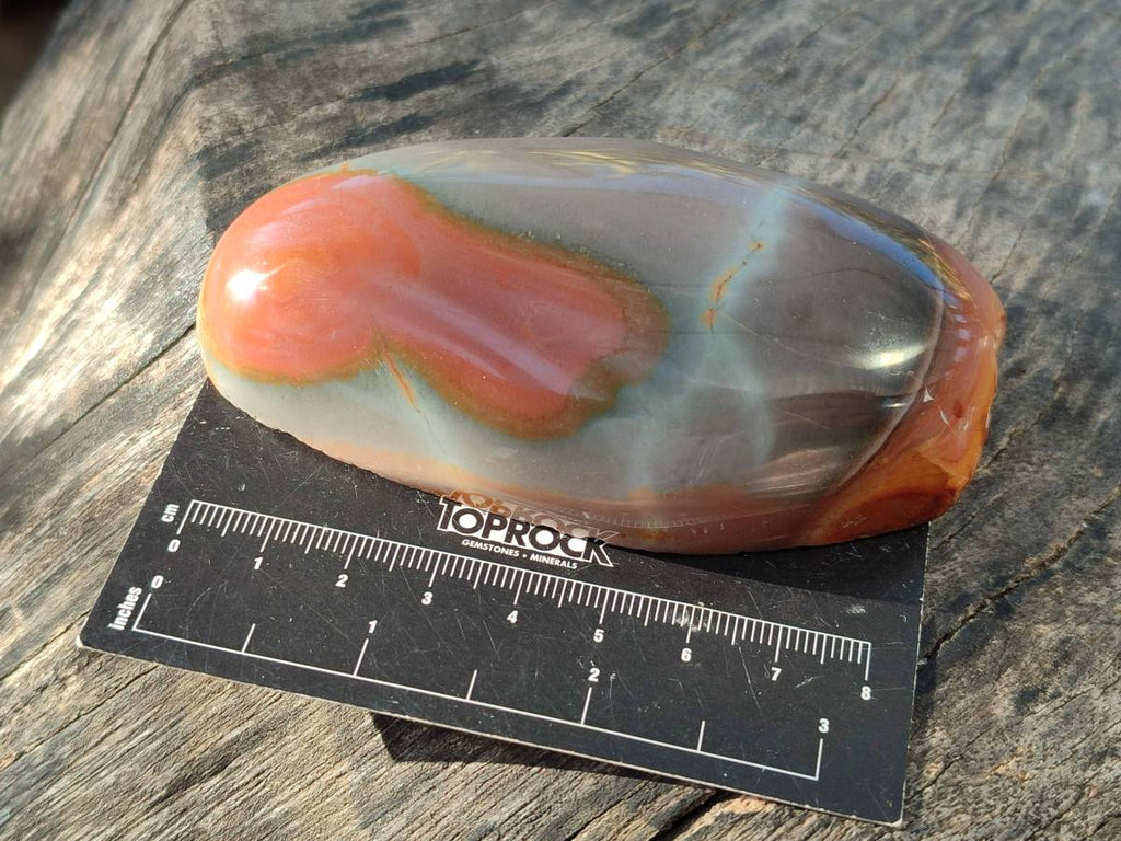 Polished On One Side Polychrome Jasper x 7 From Mahajanga, Madagascar - Toprock Gemstones and Minerals 