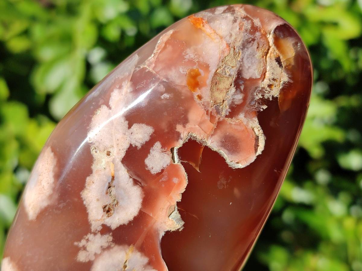 Polished Mixed Carnelian, Ring and Banded and Coral Flower Agate Standing Free Forms x 3 From Madagascar - Toprock Gemstones and Minerals 