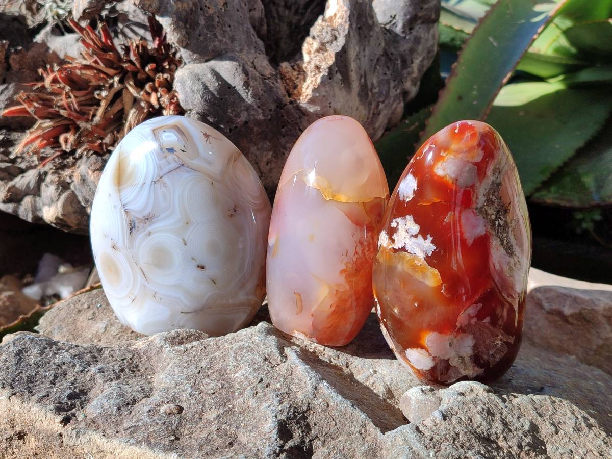 Polished Mixed Carnelian, Ring and Banded and Coral Flower Agate Standing Free Forms x 3 From Madagascar - Toprock Gemstones and Minerals 