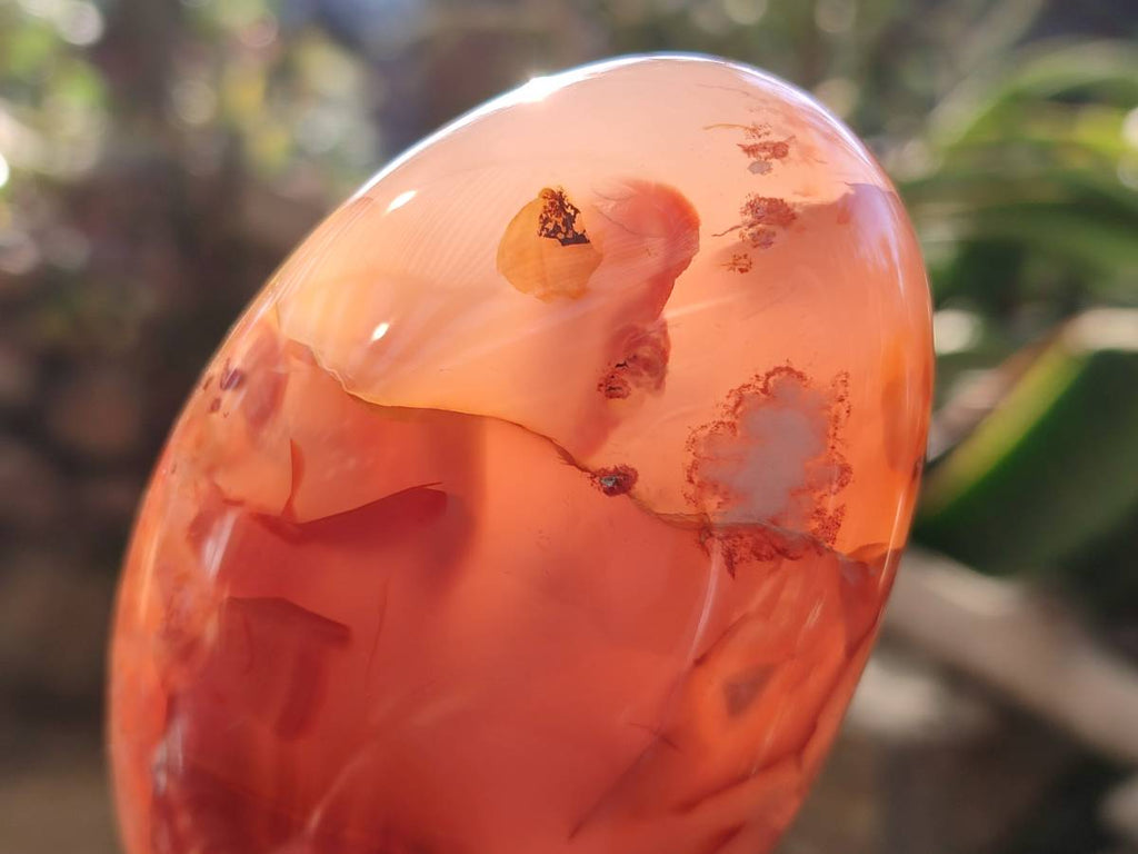 Polished Mixed Carnelian, Ring and Banded and Coral Flower Agate Standing Free Forms x 3 From Madagascar - Toprock Gemstones and Minerals 