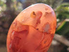 Polished Mixed Carnelian, Ring and Banded and Coral Flower Agate Standing Free Forms x 3 From Madagascar - Toprock Gemstones and Minerals 
