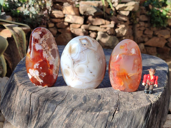 Polished Mixed Carnelian, Ring and Banded and Coral Flower Agate Standing Free Forms x 3 From Madagascar