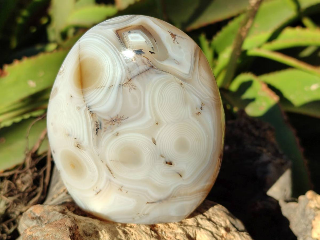 Polished Mixed Carnelian, Ring and Banded and Coral Flower Agate Standing Free Forms x 3 From Madagascar - Toprock Gemstones and Minerals 