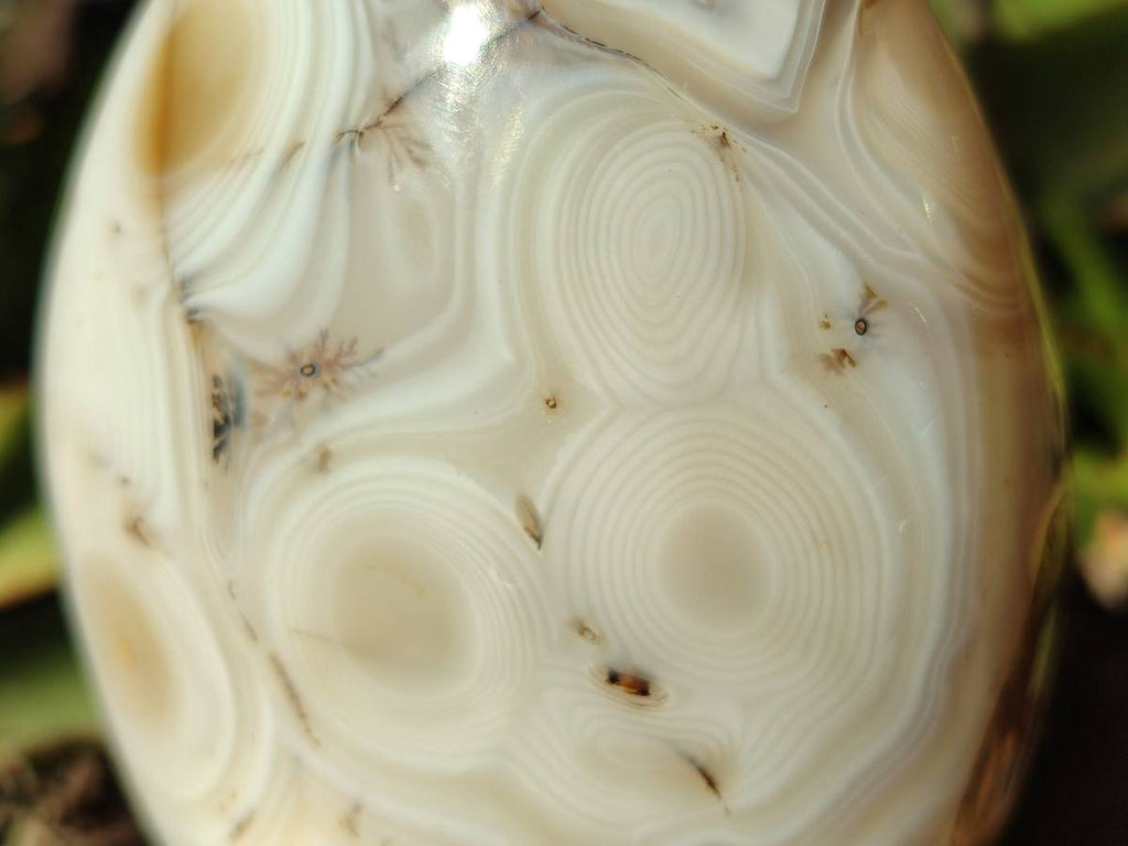 Polished Mixed Carnelian, Ring and Banded and Coral Flower Agate Standing Free Forms x 3 From Madagascar - Toprock Gemstones and Minerals 