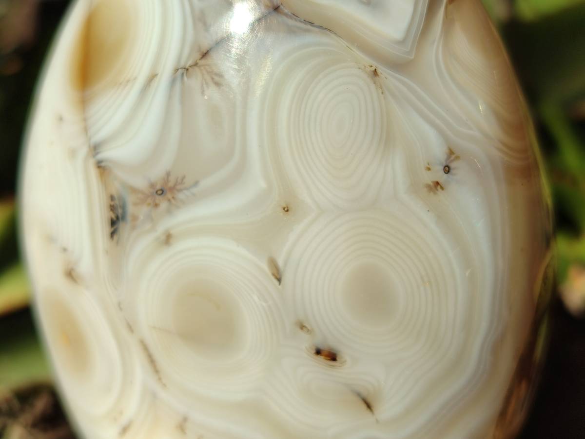 Polished Mixed Carnelian, Ring and Banded and Coral Flower Agate Standing Free Forms x 3 From Madagascar - Toprock Gemstones and Minerals 