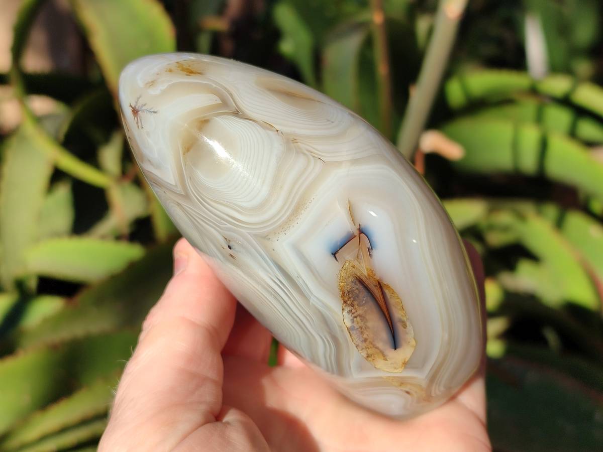 Polished Mixed Carnelian, Ring and Banded and Coral Flower Agate Standing Free Forms x 3 From Madagascar - Toprock Gemstones and Minerals 