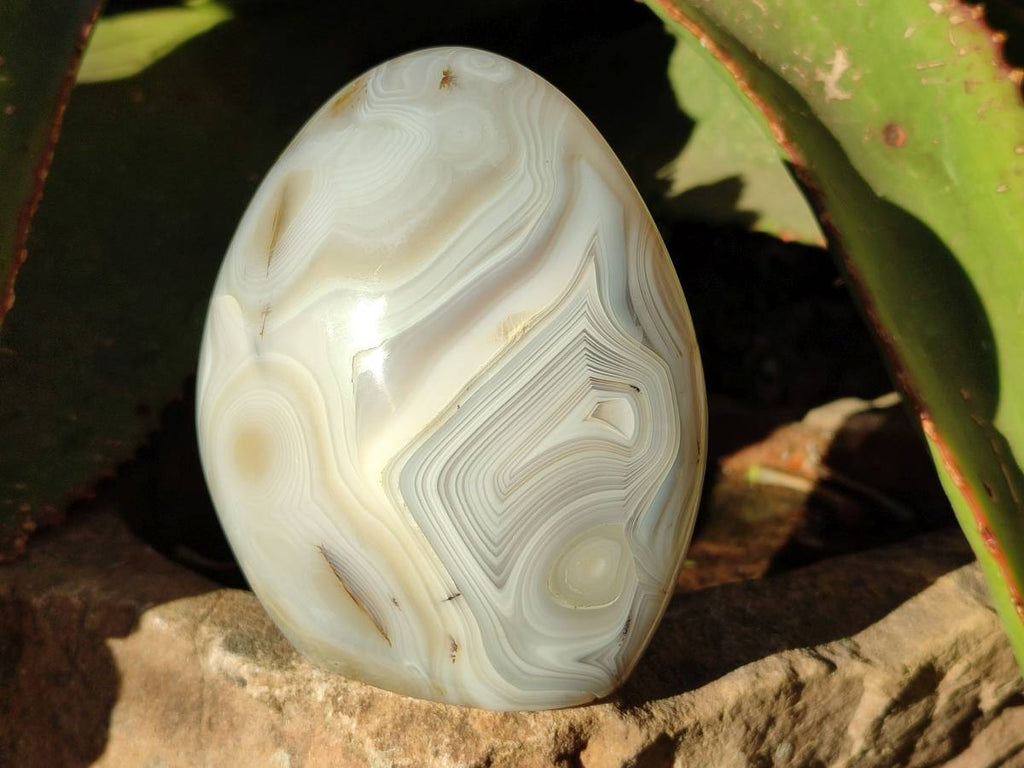 Polished Mixed Carnelian, Ring and Banded and Coral Flower Agate Standing Free Forms x 3 From Madagascar - Toprock Gemstones and Minerals 