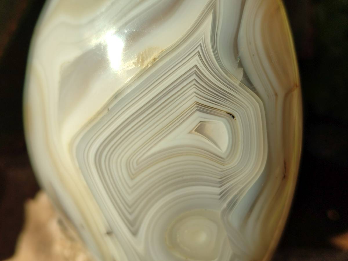 Polished Mixed Carnelian, Ring and Banded and Coral Flower Agate Standing Free Forms x 3 From Madagascar - Toprock Gemstones and Minerals 