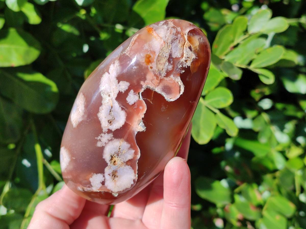 Polished Mixed Carnelian, Ring and Banded and Coral Flower Agate Standing Free Forms x 3 From Madagascar - Toprock Gemstones and Minerals 
