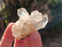 Natural Golden Limonite Quartz Clusters x 36 From Solwezi, Zambia - Toprock Gemstones and Minerals 