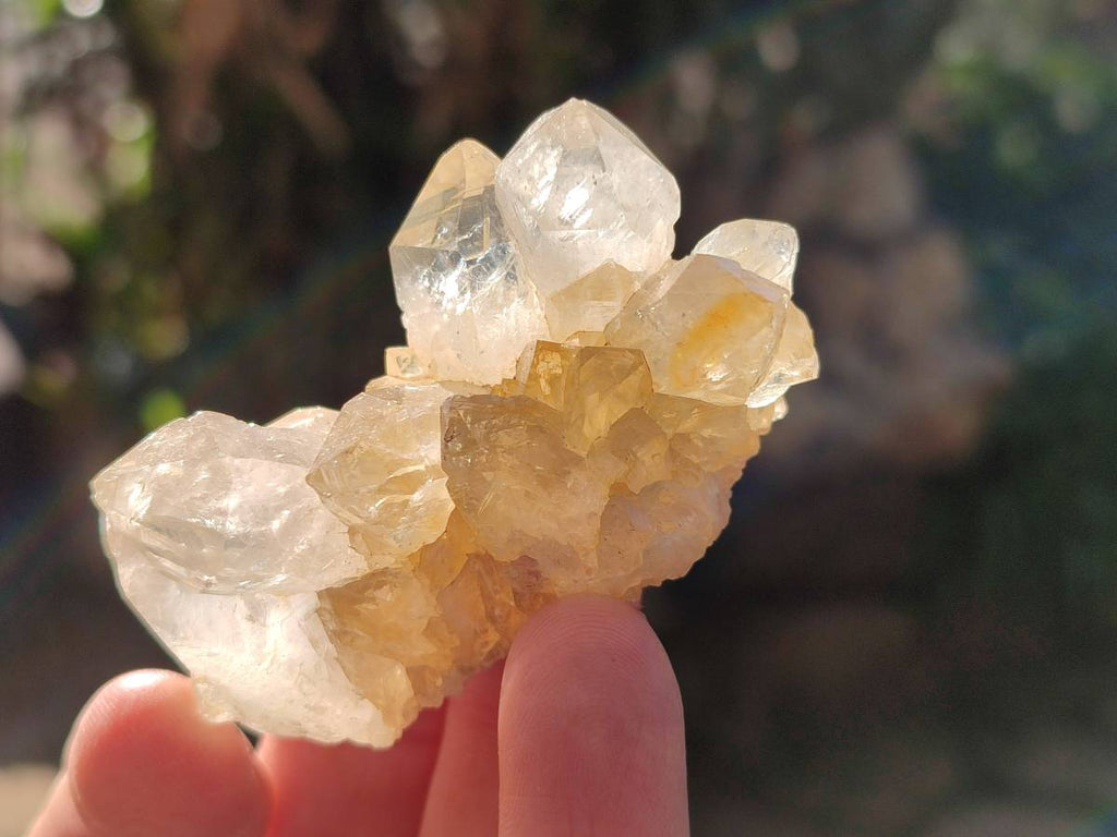 Natural Golden Limonite Quartz Clusters x 36 From Solwezi, Zambia - Toprock Gemstones and Minerals 