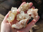 Natural Golden Limonite Quartz Clusters x 36 From Solwezi, Zambia - Toprock Gemstones and Minerals 
