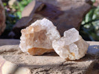 Natural Golden Limonite Quartz Clusters x 36 From Solwezi, Zambia - Toprock Gemstones and Minerals 