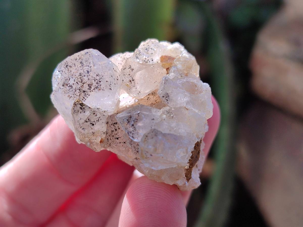 Natural Golden Limonite Quartz Clusters x 36 From Solwezi, Zambia - Toprock Gemstones and Minerals 
