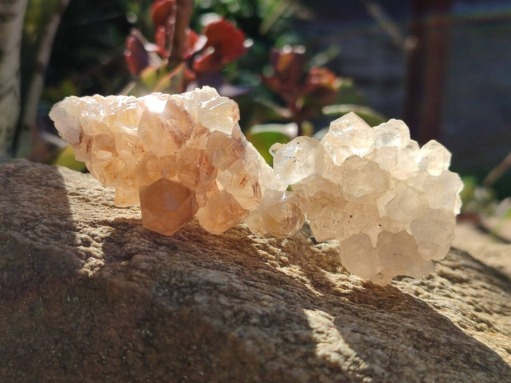 Natural Golden Limonite Quartz Clusters x 36 From Solwezi, Zambia - Toprock Gemstones and Minerals 