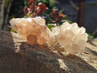 Natural Golden Limonite Quartz Clusters x 36 From Solwezi, Zambia - Toprock Gemstones and Minerals 