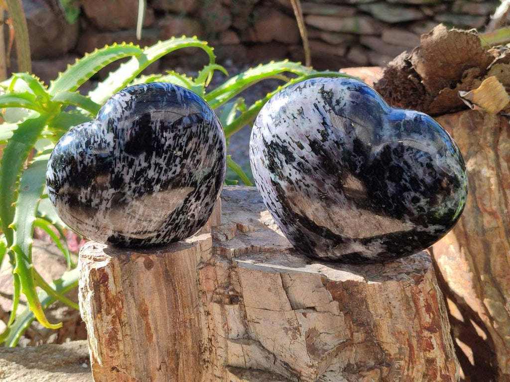Polished Gabbro Merlinite Hearts x 2 From Ambatofinandrahana, Madagascar - Toprock Gemstones and Minerals 
