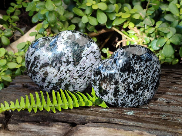 Polished Gabbro Merlinite Hearts x 2 From Ambatofinandrahana, Madagascar