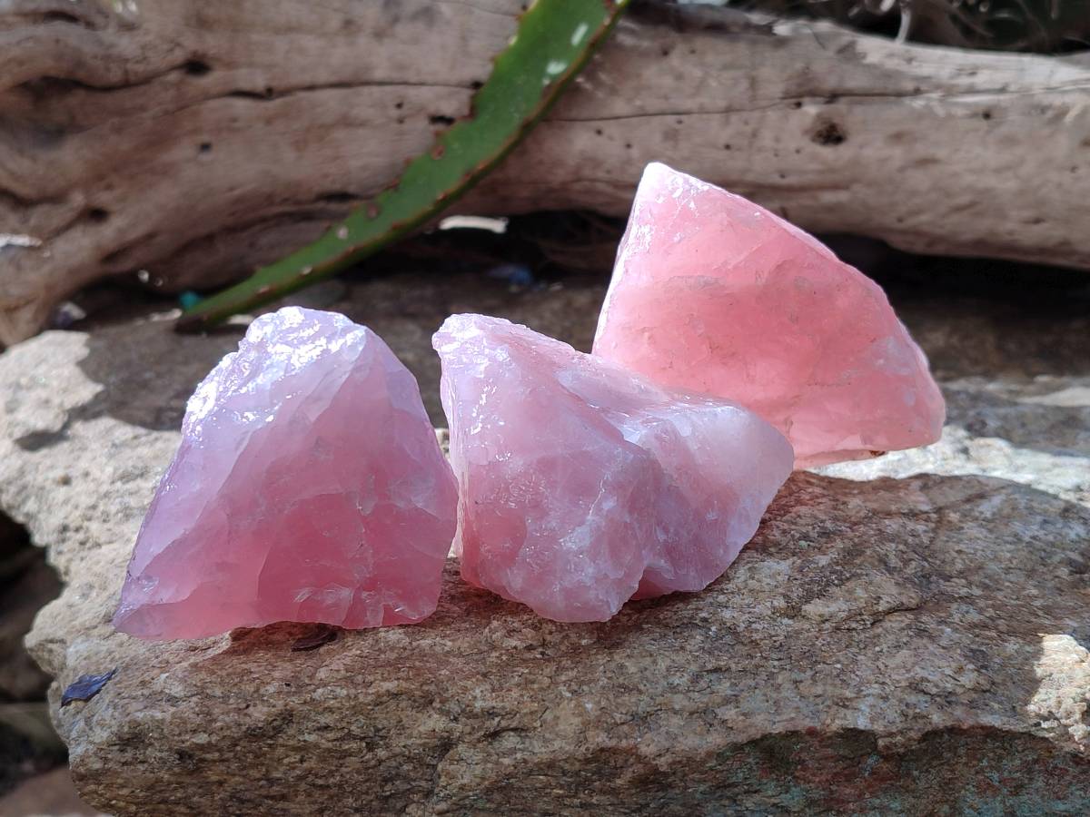 Natural Pink Rose Quartz Cobbed Specimens x 24 From North Cape, South Africa - Toprock Gemstones and Minerals 
