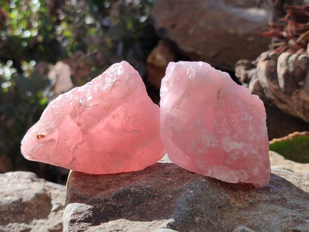 Natural Pink Rose Quartz Cobbed Specimens x 24 From North Cape, South Africa - Toprock Gemstones and Minerals 
