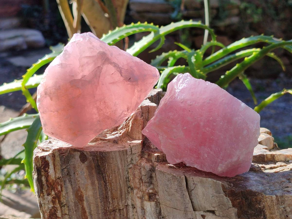 Natural Pink Rose Quartz Cobbed Specimens x 24 From North Cape, South Africa - Toprock Gemstones and Minerals 