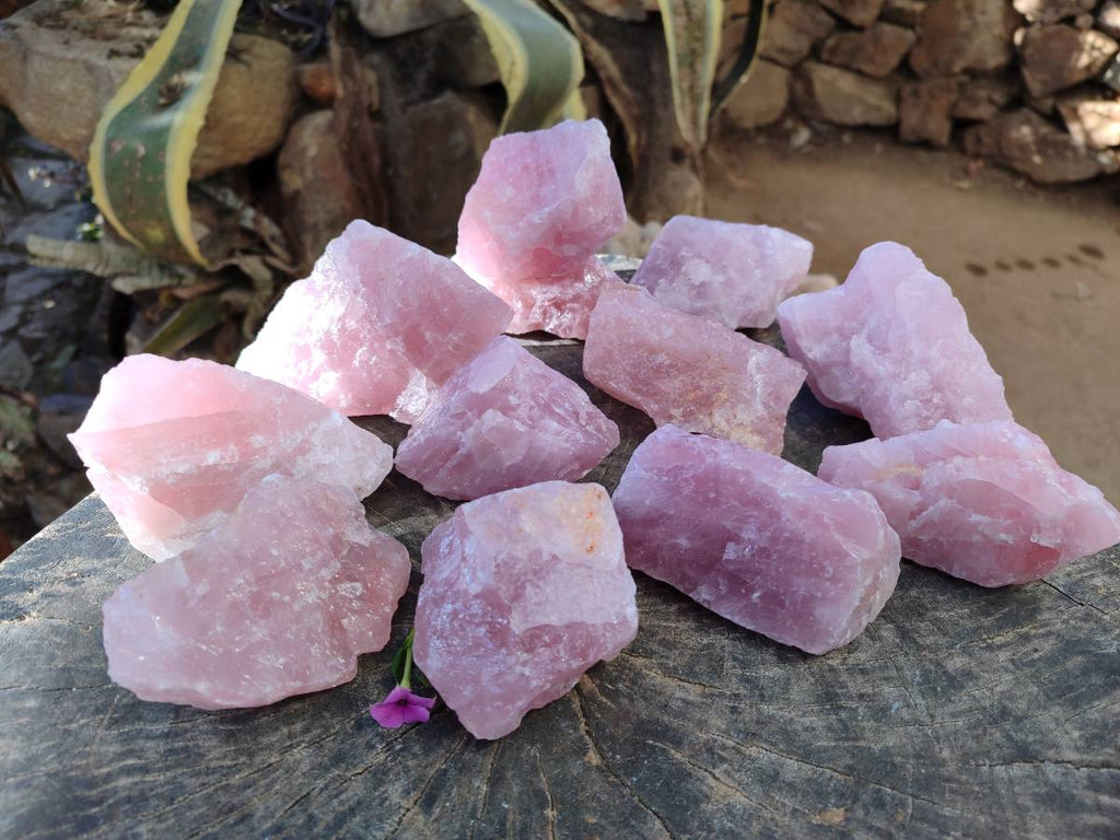 Natural Pink Rose Quartz Cobbed Specimens x 24 From North Cape, South Africa - Toprock Gemstones and Minerals 