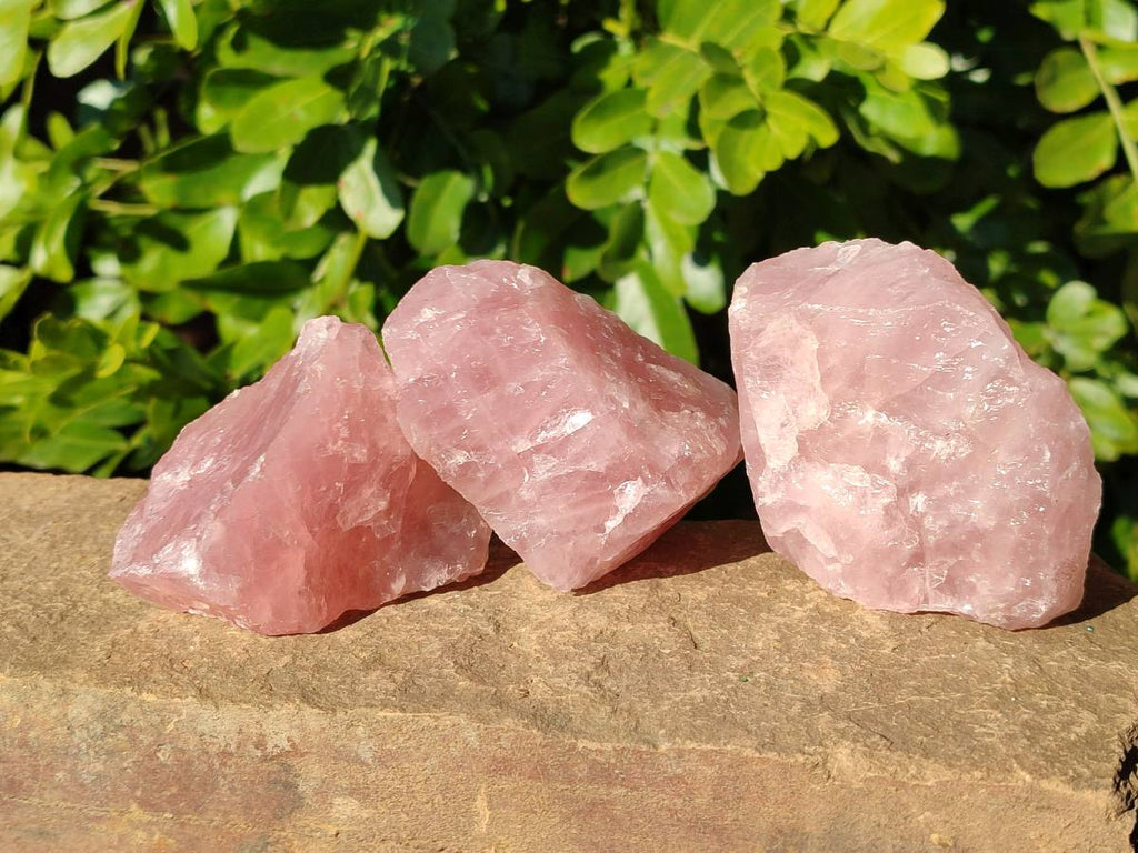 Natural Pink Rose Quartz Cobbed Specimens x 24 From North Cape, South Africa - Toprock Gemstones and Minerals 