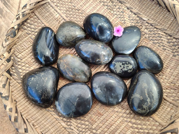 Polished Rare Pharaoh Stone Pyrite in Basalt Palm Stones x 12 Iron Duke Mine, Zimbabwe