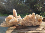Natural Golden Limonite Coated Fairy Spirit Quartz Clusters x 6 From Boekenhouthoek, South Africa - Toprock Gemstones and Minerals 