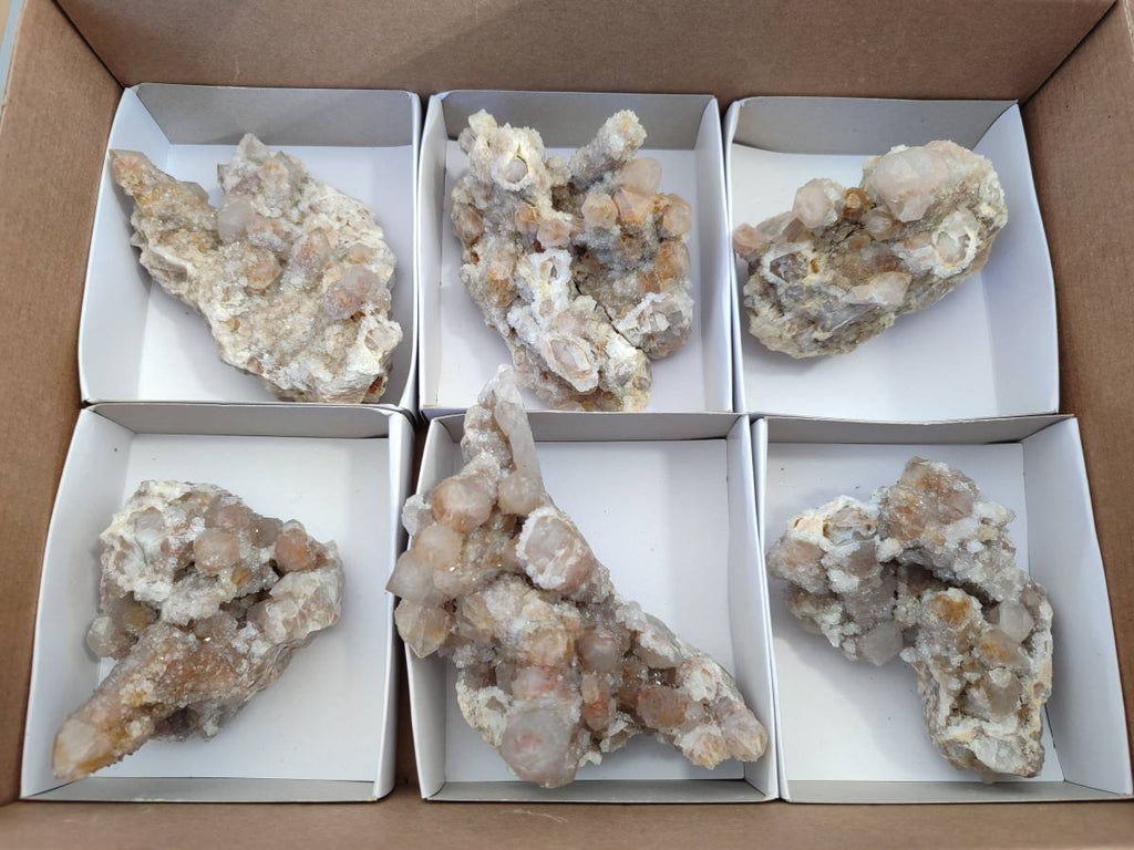 Natural Golden Limonite Coated Fairy Spirit Quartz Clusters x 6 From Boekenhouthoek, South Africa - Toprock Gemstones and Minerals 