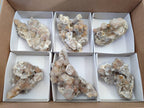 Natural Golden Limonite Coated Fairy Spirit Quartz Clusters x 6 From Boekenhouthoek, South Africa - Toprock Gemstones and Minerals 
