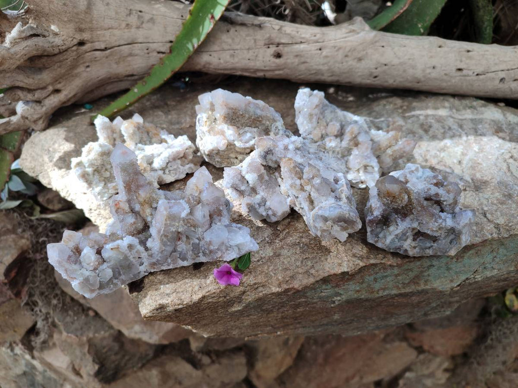 Natural Golden Limonite Coated Fairy Spirit Quartz Clusters x 6 From Boekenhouthoek, South Africa - Toprock Gemstones and Minerals 